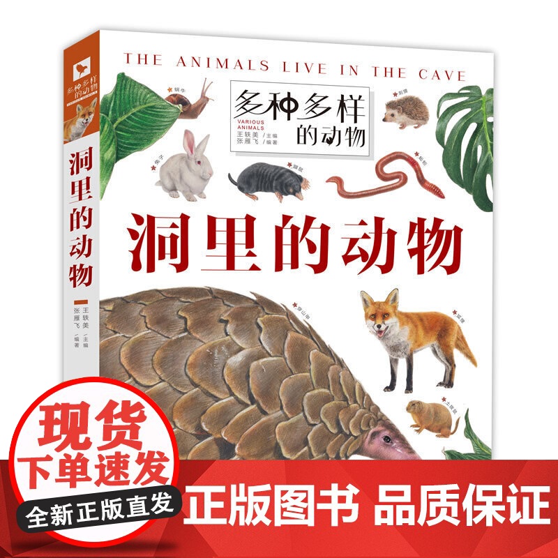 多种多样的动物·洞里的动物 动物翻翻书“翻”阅生命奥秘