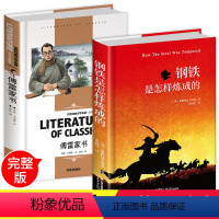 [正版]全套2册 傅雷家书和钢铁是怎样炼成的八年级下册初中版原著完整版书无删减初中生必读名著书籍下