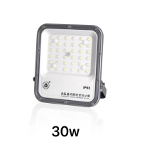 世纪亚明(揽月系列)泛光灯 ZY70c-R 个