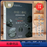 【正版】中国二叠纪地层及标志化石图集(精)/中国古生代地层及标志化石图集/沈树忠/徐海鹏/袁东勋/王玥/王军/浙江勋层
