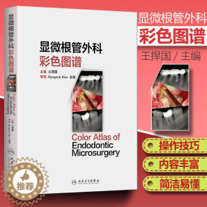 [醉染正版]医学书正版 显微根管外科彩色图谱 王捍国 9787117230278 人民卫生出版社