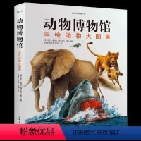 [正版]浪花朵朵童书 动物博物馆 手绘动物大图鉴儿童百科科普书籍