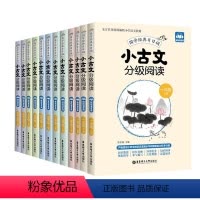 小学古文分级阅读1-6年级 全套12册 小学通用 [正版]小学生文言文启蒙阅读强化训练120篇寒假古诗词全解全析一本通知
