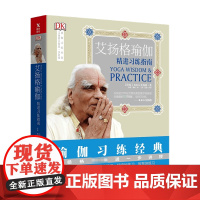 艾扬格瑜伽 精进习练指南 再版 BKS艾扬格 著 瑜伽之光 艾扬格调息之光 练习经典 从入门到精通 室内健身书籍