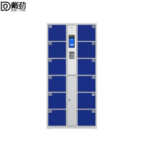 戴劲电子存包柜物品存取柜员工储物柜手机寄存柜铁皮柜 12门人脸识别