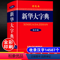 [正版]2024年中小学生大字典彩色本大本大字本第3版商务印书馆高中生初中生中学生人教版儿童语文多功能速查词典第12版
