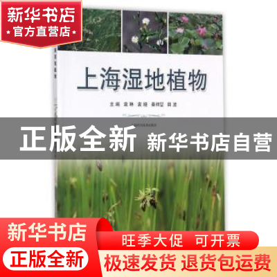 正版 上海湿地植物 袁琳//袁晓 上海科学技术出版社 978754783562