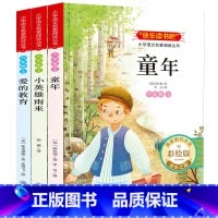 [全套3册]童年+爱的教育+小英雄雨来 [正版]六年级上册小学语文名著阅读丛书快乐读书吧 全3册 小英雄雨来+爱的教育+
