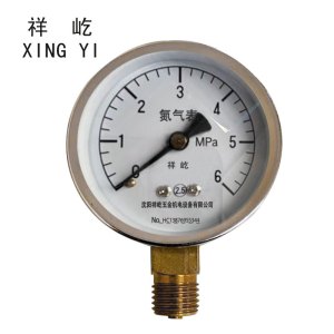 祥屹+氮气压力表检测定制型+Y60+块