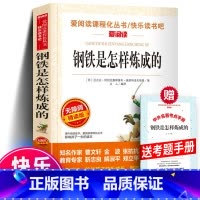 钢铁是怎样炼成的+赠考题册 [正版]爱阅读含名师点评+知识考点钢铁是怎样炼成的 天地出版社 初中原著小学生世界经名著小说