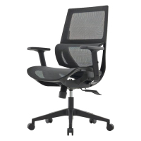 臻远 ZY-6683 办公椅人体工学网面转椅撑腰电脑椅