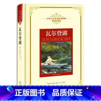 瓦尔登湖 [正版]世界文学名著名译典藏 全译插图本 大卫科波菲尔飘猎人笔记基督山伯爵现当代文学名著书籍排行榜高初中生课外