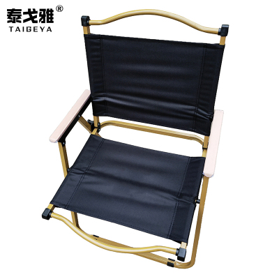 泰戈雅 折叠椅便携式座椅 51x47x76cm 把