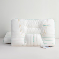 夏季冰丝乳胶护颈枕头家用成人助睡眠一对装枕芯宿舍单只整头