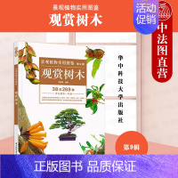 [正版] 景观植物实用图鉴(第9辑):观赏树木 薛聪贤 华中科技大学 景观植物研究类图书 景观绿化美化树木 绿篱 盆栽