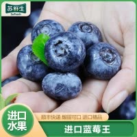 [苏鲜生]顺丰快递 秘鲁进口蓝莓王 个头饱满 8盒 125g/盒 口感甜蜜