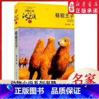 骆驼王子 [正版]书店 骆驼王子 升级版动物小说大王沈石溪·品藏书系 中/小学生阅读少儿读物 儿童文学