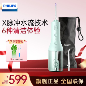 飞利浦(PHILIPS)冲牙器洗牙器 成人便携式洁牙器正畸 立式手持2种洁齿模式 生日情人节礼物HX3826/34