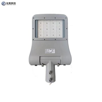 龙腾图智 LED路灯 LT005-2-90 套