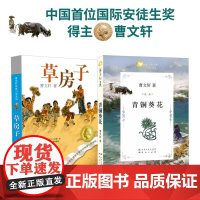 曹经典儿童文学作品(全2册):草房子+青铜葵花 入选全国语文教材 国际安徒生奖得主曹作品