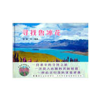 正版新书]寻找鲁冰花(精)彭懿文9787558327346