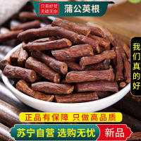 甄选蒲公英根茶100克干货新货浦公英根干正品官方店煮水泡茶另售陈皮