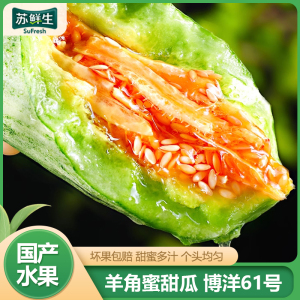 [苏鲜生]新鲜羊角蜜甜瓜 博洋61号 净重2.8斤