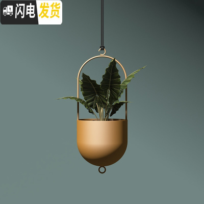 三维工匠北欧客厅墙壁壁挂花盆墙面悬挂式挂墙创意水培铁艺挂钩绿萝吊挂 金色单盆不含植物 小花盆容器