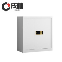 戌林 保密柜电子指纹锁/台