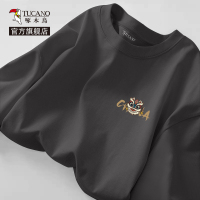 啄木鸟纯棉长袖t恤男早春2025新款国潮印花体恤衫男士宽松打底衫Y