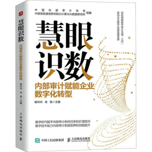 [M]慧眼识数 内部审计赋能企业数字化转型-9787115619037