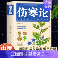 伤寒论 [正版]伤寒论张仲景原著含原文注释译文中草药彩图大全书中医临床理论知识百科全书杂病论医药医学类书籍入门零基础中医