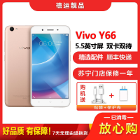 Vivoy66型号参数规格 Vivoy66详细参数配置 苏宁易购