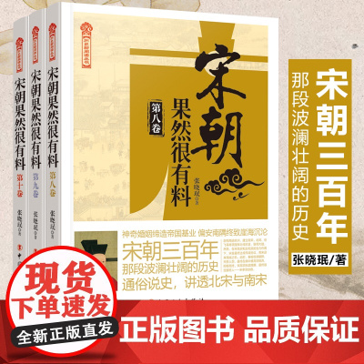 南宋史3卷 宋朝果然很有料8-9-10卷 张晓珉 著 宋朝历史知识普及读物 学生课外读物 中国古代史全新正版 历史新阅读