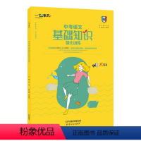 初中语文基础知识强化 中考 [正版]2024新版一飞冲天初中语文基础知识强化训练积累与运用综合训练标点病句语境文学常识语