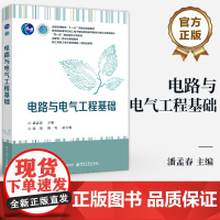 店 电路与电气工程基础 潘孟春 高等学校电工电子基础课程教材 普通高等教育 十一五”国家级规划教材 电路分析方法书籍