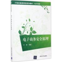电子商务安全原理