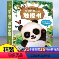 那么大!地板书 宝宝的第一本触摸书 [正版]宝宝的第一本触摸书 早教触摸书婴儿书感官刺激绘本 那么大地板书 1岁撕不烂立