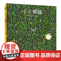 小小熊猫(精装 宫西达也系列绘本) 3-6岁儿童绘本幼儿园小超萌小小熊猫生活充满惊险怎么化险为夷鼓励孩子更好地接纳自己