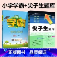 难度升级[尖题+学霸]语文 人教版 2本 二年级上 [正版]2024春尖子生题库二三年级四五年级六一年级上下册数学语文人