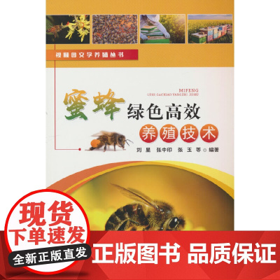 蜜蜂绿色养殖技术