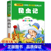 昆虫记 [正版]宝葫芦的秘密二三年级必读 注音版带拼音 小学一年级阅读课外书上册下册下学期 张天翼原著完整版宝芦葫 小学