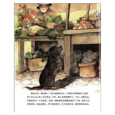 醉染图书我的动物朋友:集市上的流浪狗9787020133437