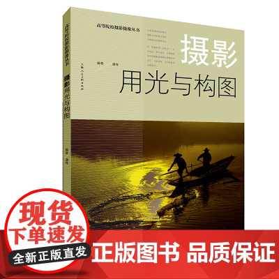 高等院校摄影摄像丛书——摄影用光与构图