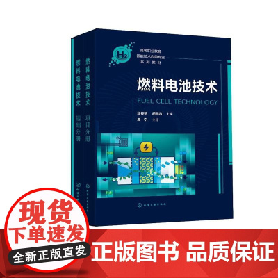燃料电池技术(段春艳)