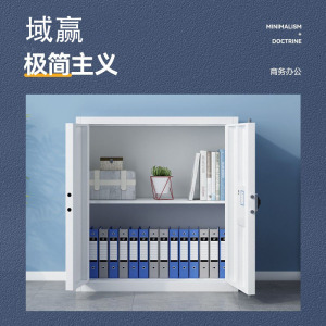 域赢保密柜文件办公档案柜钢制保险柜指纹密码锁灰白矮柜单节不带抽