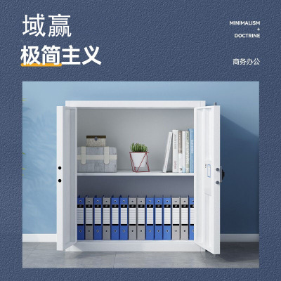 域赢保密柜文件办公档案柜钢制保险柜指纹密码锁灰白矮柜单节不带抽