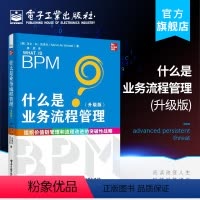 [正版] 什么是业务流程管理 升级版 马文·M.沃泽尔 与组织绩效连接起来BPM适合做什么BPM基础 经济管理书籍