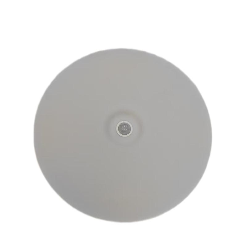 鑫彪人体感应吸顶灯24W/个