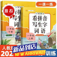 一年级上下册看拼音写词语生字注音语文专项训练人教版同步练习册
